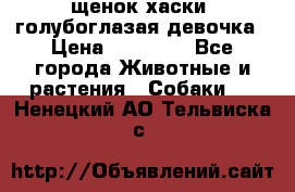 щенок хаски  голубоглазая девочка › Цена ­ 12 000 - Все города Животные и растения » Собаки   . Ненецкий АО,Тельвиска с.